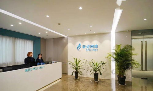 上海松江8家企業(yè)榮登2020軟件和信息技術(shù)服務(wù)業(yè)“雙百”榜單